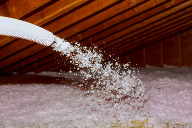 Best Energy Efficiency Insulation in Avalon, NJ