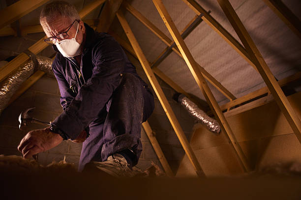 Best Residential Insulation in Avalon, NJ